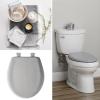 imageBemis Classic Colors Slow Close Toilet Seat Easy Clean Hinges and Durable Plastic Seat Made in USA Elongated BlackSilver