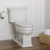 imageMayfair Alesio II Slow Close Toilet Seat Easy Clean Hinges and Adjustable Perfect Fit Wood Seat Made in USA Elongated WhiteWhite