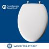 imageMAYFAIR 1844BNA 000 Toilet Seat with Brushed Nickel Hinges will Never Come Loose ELONGATE White  Brushed NickelElongated
