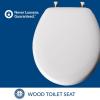imageMAYFAIR 1844BNA 000 Toilet Seat with Brushed Nickel Hinges will Never Come Loose ELONGATE White  Brushed NickelRound